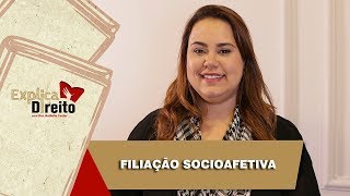 Explica Direito Filiação Socioafetiva  2019 [upl. by Goddart615]