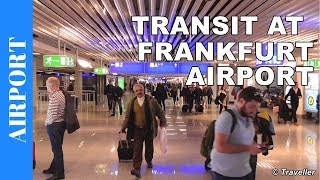 TRANSIT WALK AT FRANKFURT Airport FRA Terminal 1  Connection Flight Transfer Arriving amp Departing [upl. by Adrahc]